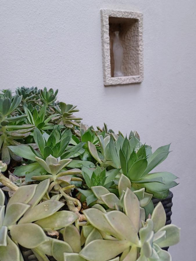 Apartament Monnalisa House Malcesine Zewnętrze zdjęcie